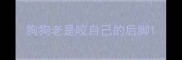 狗狗老是咬自己的后脚