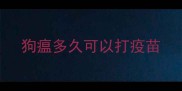 狗瘟多久可以打疫苗