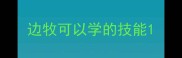 边牧可以学的技能