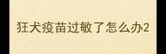 狂犬疫苗过敏了怎么办
