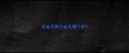 母金毛跟公金毛哪个好