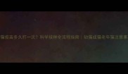 大猫疫苗多久打一次科学接种全流程指南幼猫成猫老年猫注意事项