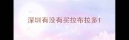 深圳有没有买拉布拉多