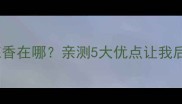 边牧纯种到底香在哪亲测5大优点让我后悔没早买