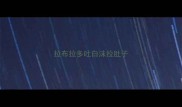 拉布拉多吐白沫拉肚子