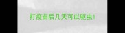 打疫苗后几天可以驱虫