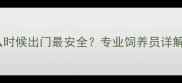 三个月泰迪什么时候出门最安全专业饲养员详解幼犬外出指南