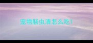 宠物肠虫清怎么吃