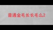 普通金毛长长毛么