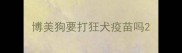 博美狗要打狂犬疫苗吗