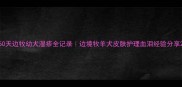 50天边牧幼犬湿疹全记录边境牧羊犬皮肤护理血泪经验分享