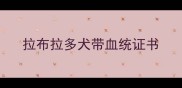 拉布拉多犬带血统证书