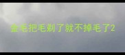金毛把毛剃了就不掉毛了