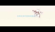 拉布拉多打疫苗后能出门