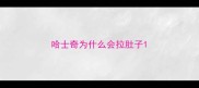 哈士奇为什么会拉肚子
