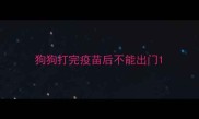狗狗打完疫苗后不能出门