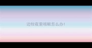 边牧夜里咳嗽怎么办