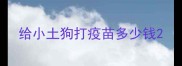 给小土狗打疫苗多少钱