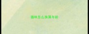 猫咪怎么换算年龄