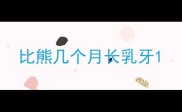 比熊几个月长乳牙