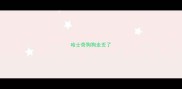 哈士奇狗狗走丢了