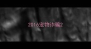 2016宠物诈骗