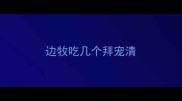 边牧吃几个拜宠清