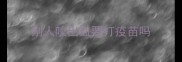 别人咬出血要打疫苗吗