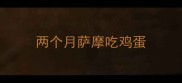 两个月萨摩吃鸡蛋