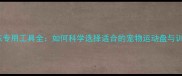 哈士奇训练专用工具全如何科学选择适合的宠物运动盘与训练设备