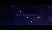 拉布拉多掉毛看到肉