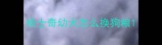 哈士奇幼犬怎么换狗粮
