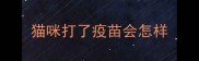 猫咪打了疫苗会怎样