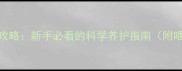 小泰迪幼犬饲养全攻略新手必看的科学养护指南附喂养训练健康要点