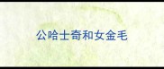 公哈士奇和女金毛
