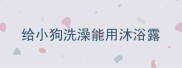 给小狗洗澡能用沐浴露
