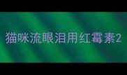 猫咪流眼泪用红霉素