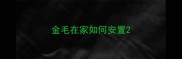 金毛在家如何安置