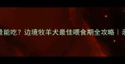 边牧几个月最能吃边境牧羊犬最佳喂食期全攻略亲测有效不踩雷