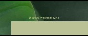 边牧拉肚子不吃饭怎么办