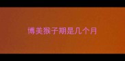 博美猴子期是几个月