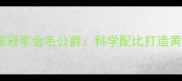 推荐宠物营养方案冠军金毛公爵科学配比打造黄金时代健康犬只