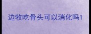 边牧吃骨头可以消化吗