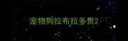 宠物狗拉布拉多贵