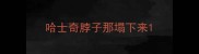 哈士奇脖子那塌下来