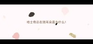 哈士奇总在挠耳朵是为什么