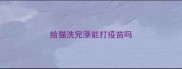 给猫洗完澡能打疫苗吗