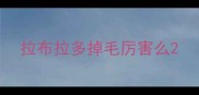 拉布拉多掉毛厉害么