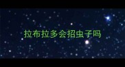 拉布拉多会招虫子吗