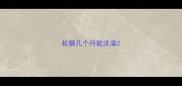 松狮几个月能洗澡